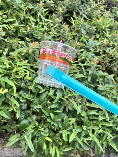 励さんまたのご参加おまちしてます！☆夜そうじ画像