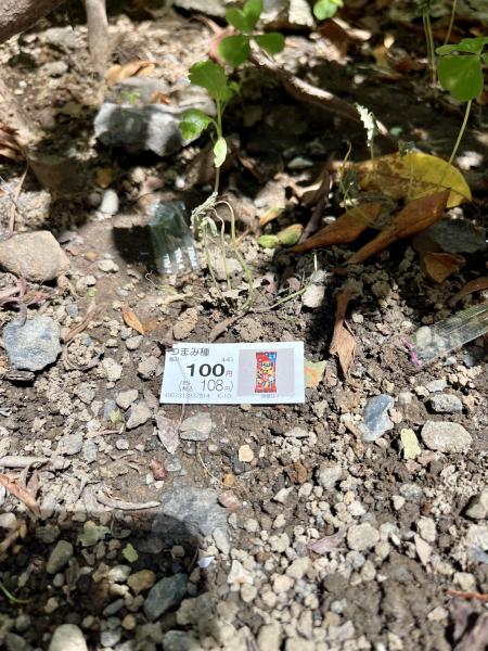 神田お掃除画像