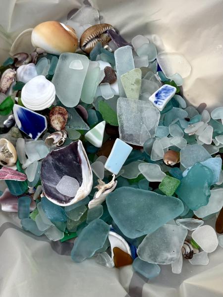 ゴミ拾い　in 金田海岸画像