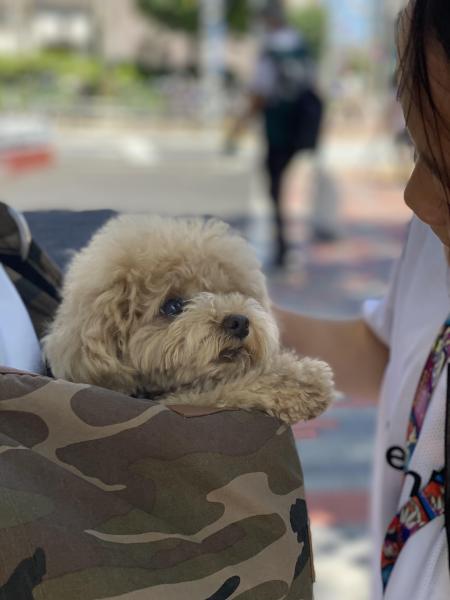 夏だ！ゴミ拾いだ！ビールだ！画像