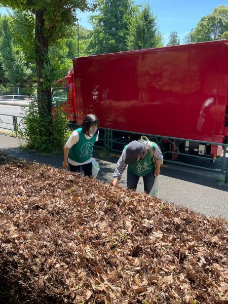 駒沢公園おそうじ画像
