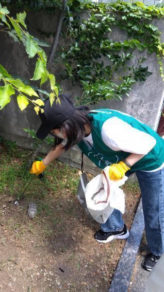 2023年07月23日画像