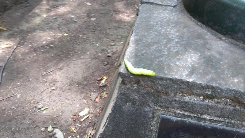 2023年07月23日画像