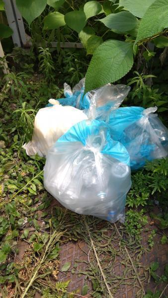 2023年07月23日画像