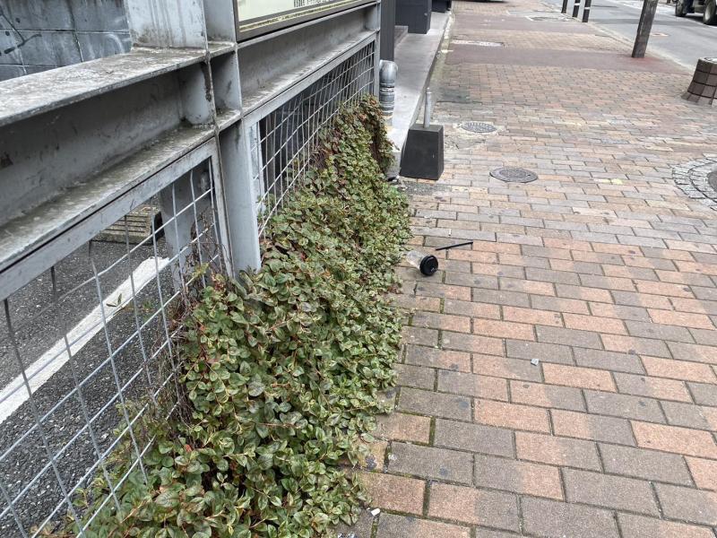 福岡天神　世界水泳真っ只中のため街がキレイめ☆朝そうじ画像