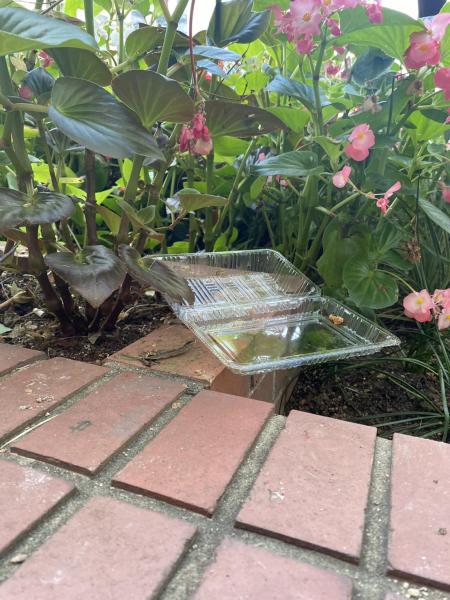 福岡天神　世界水泳が始まり、山笠が終わった☆土曜そうじ画像