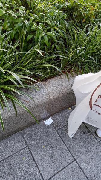 【北新地】節目はみんなDE！定例おそうじ【7月第4土曜日】画像