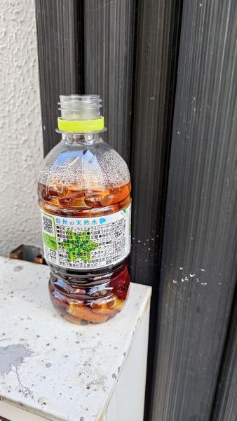 【北新地】節目はみんなDE！定例おそうじ【7月第4土曜日】画像