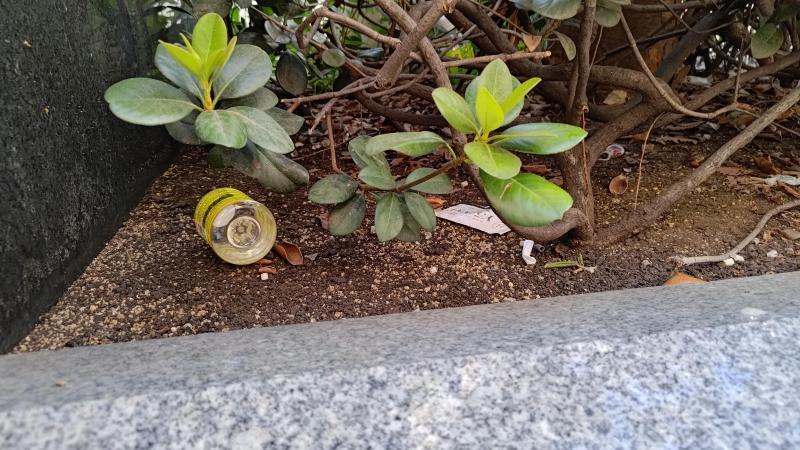 【北新地】節目はみんなDE！定例おそうじ【7月第4土曜日】画像