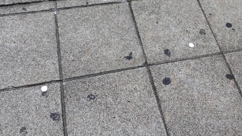 【北新地】節目はみんなDE！定例おそうじ【7月第4土曜日】画像