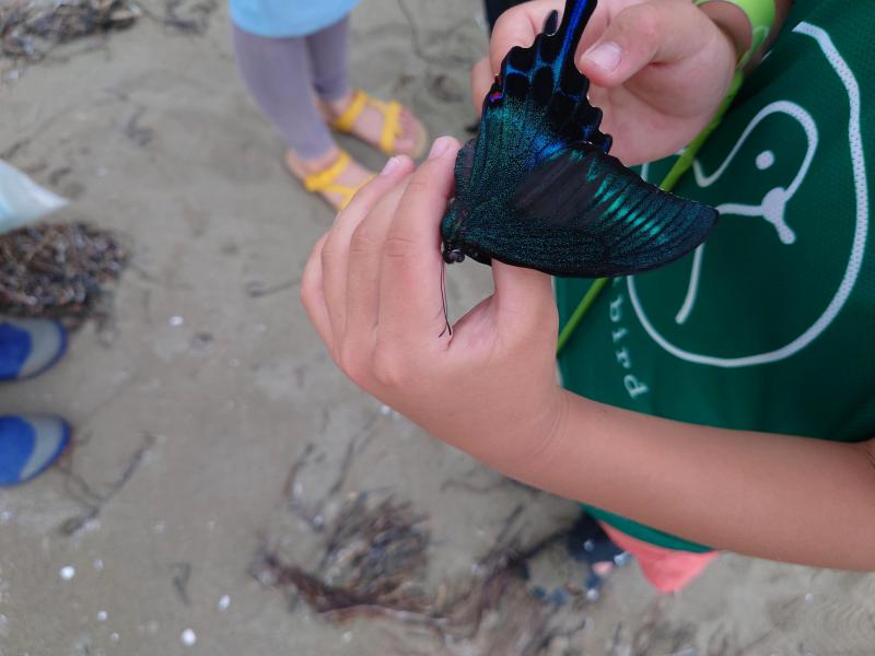 海のイブニングおそうじ画像