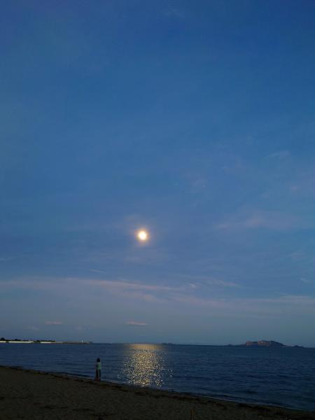 海のイブニングおそうじ画像