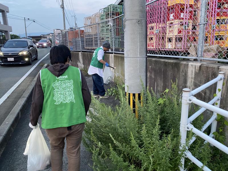 夏です。だいぶ夏です。画像