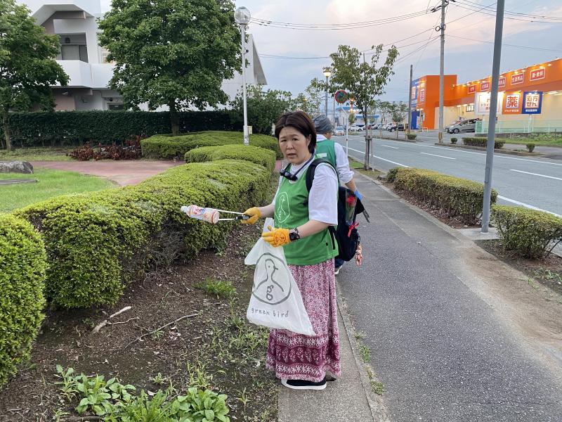 夏です。だいぶ夏です。画像