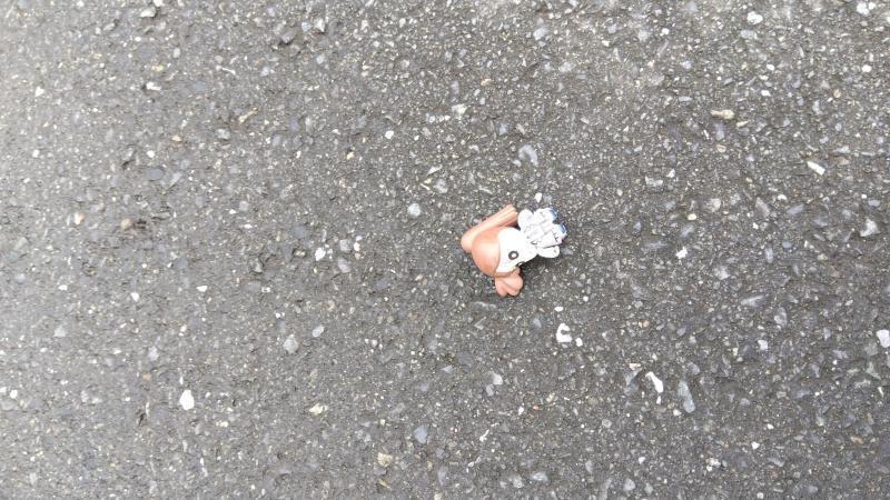 2023年08月13日画像