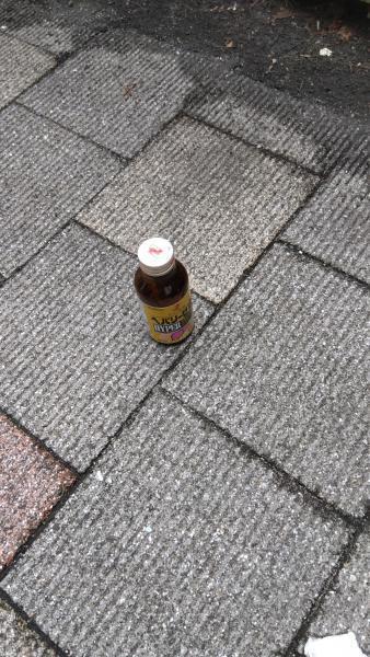 2023年08月13日画像