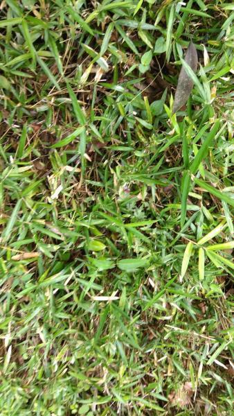 2023年08月13日画像