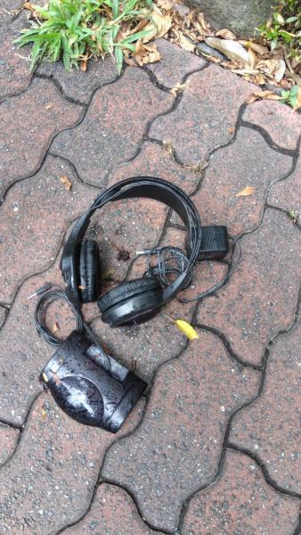 2023年08月13日画像