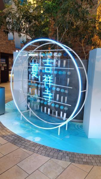 2023年08月13日画像