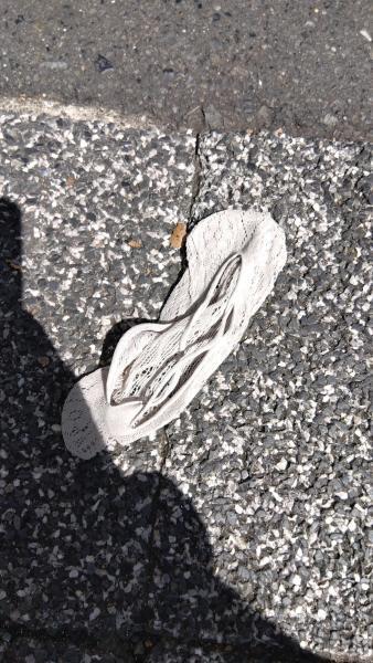 2023年08月27日画像