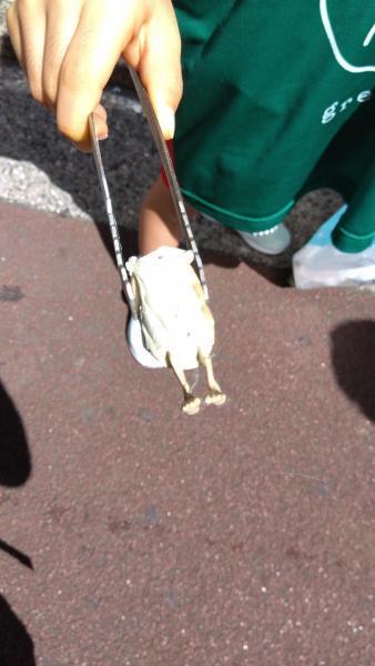 2023年08月27日画像