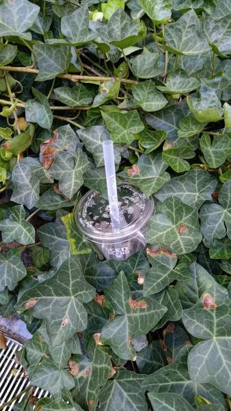 【北新地】厄介ごみがマジで大変な定例おそうじ【8月第4土曜日】画像