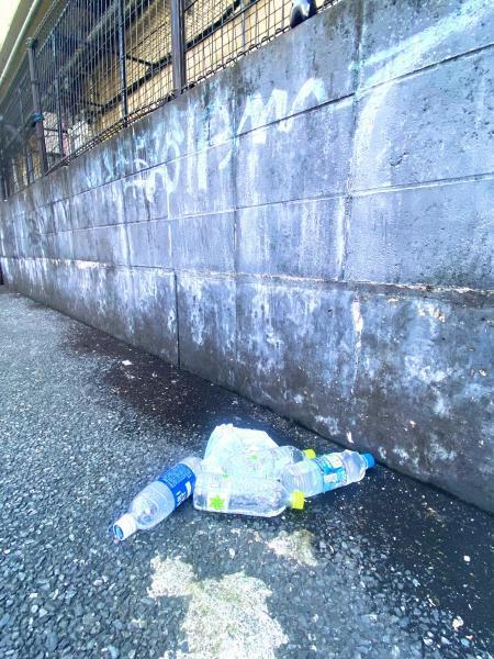 福岡天神　8月最後はニンジン拾ったよ☆朝そうじ画像