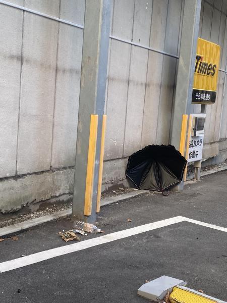 福岡天神　8月最後はニンジン拾ったよ☆朝そうじ画像