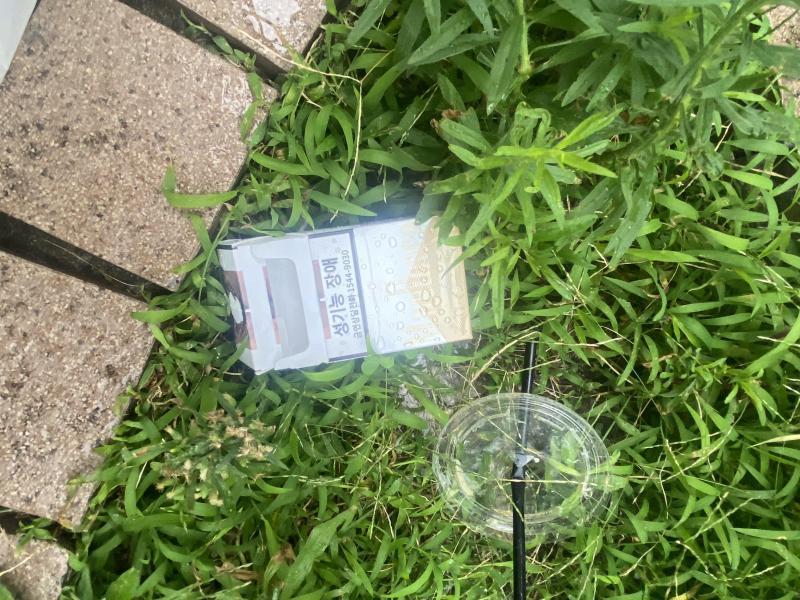 福岡天神　子どもも大人も頑張ったよ☆朝そうじ画像