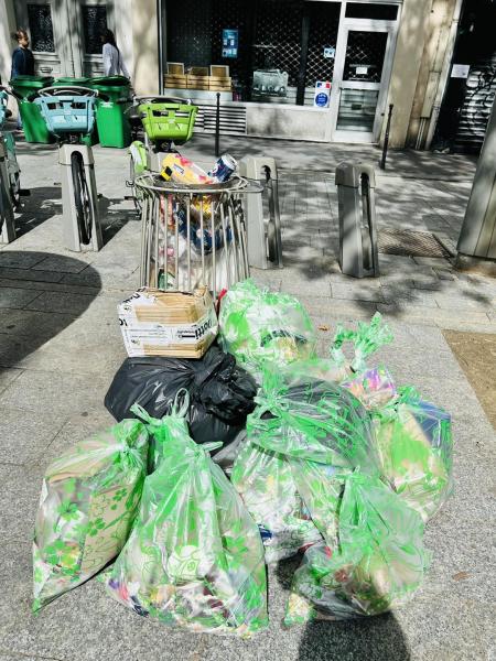 遅ればせながらのアップ画像