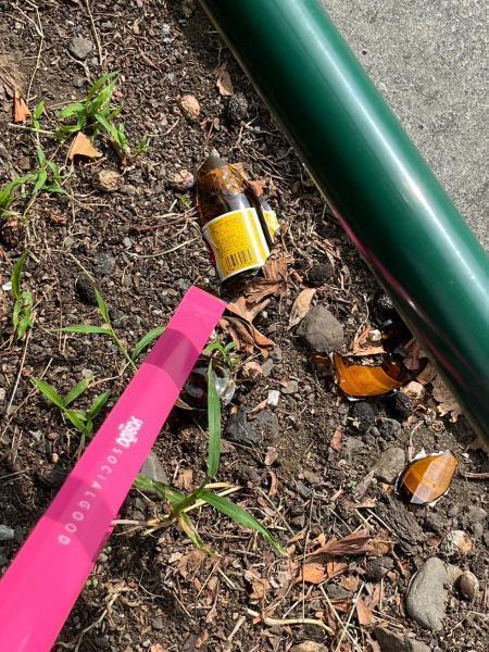 駒沢公園おそうじ画像