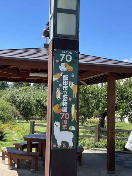 3年ぶり？の丘の上。画像