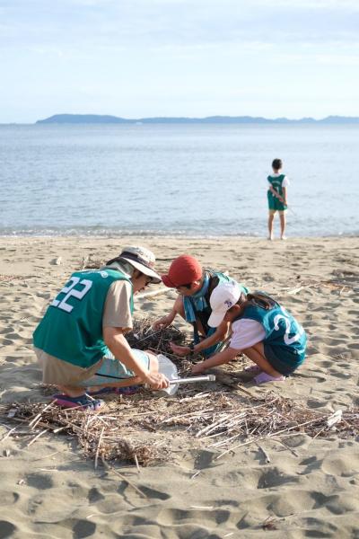 海のスパイシーイブニングおそうじ画像