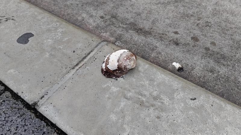 【北新地】いつもとちょっと違うような違わないような定例おそうじ【9月第4土曜日】画像