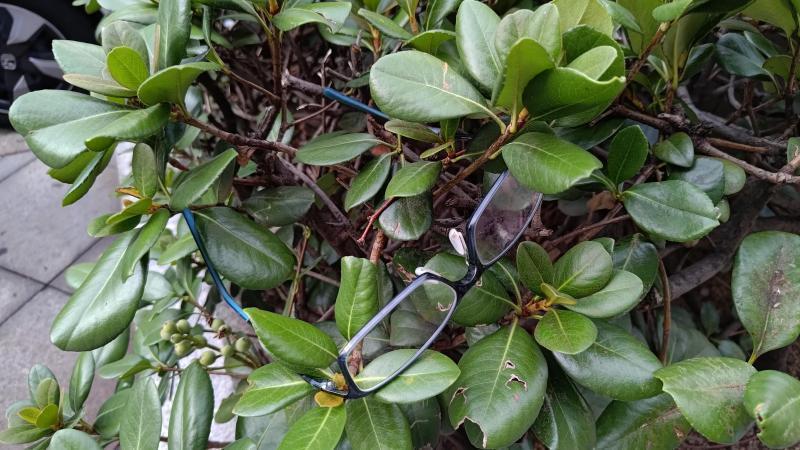 【北新地】いつもとちょっと違うような違わないような定例おそうじ【9月第4土曜日】画像