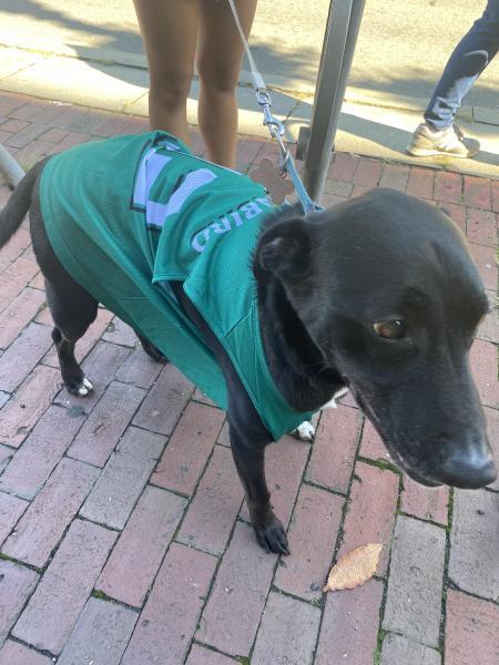 9月　FR2 コラボそうじ画像