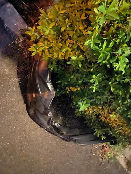 だんだん暗くなってきた。。。画像