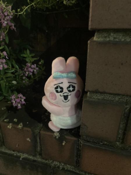 まだ暑い〜9月画像