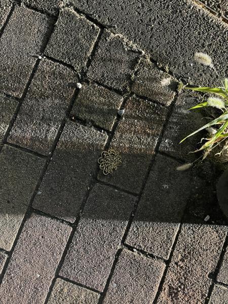 大量の傘！画像