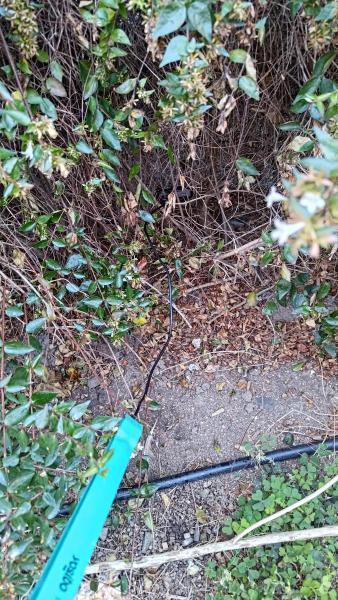 【北新地】11周年！記念おそうじ【10月第4土曜日】画像