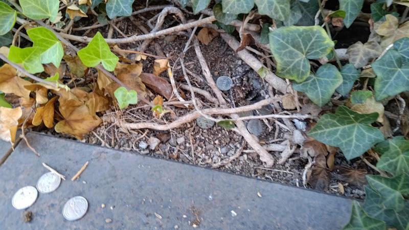 【北新地】11周年！記念おそうじ【10月第4土曜日】画像