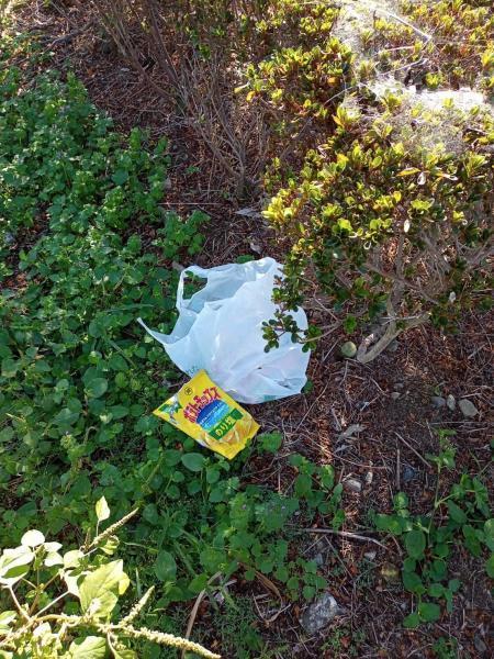 初の定例朝掃除！画像