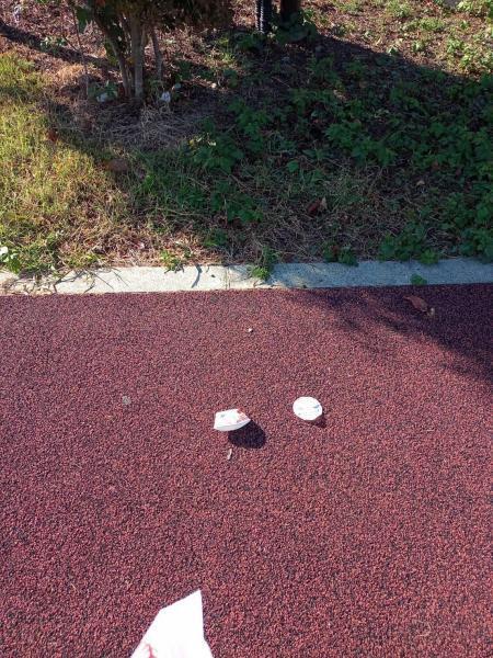 初の定例朝掃除！画像