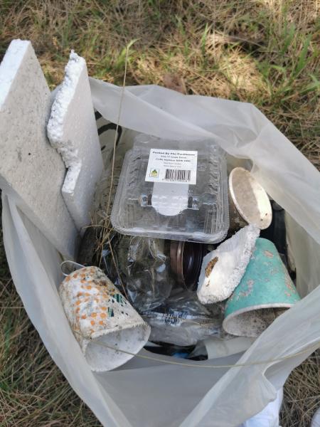 今年最後のビーチのお掃除画像