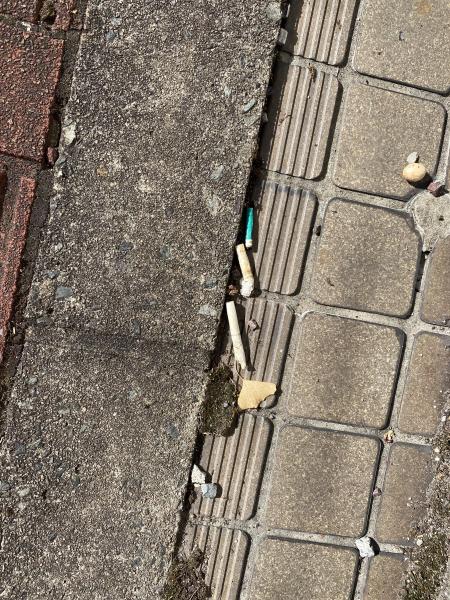 駅周辺まちなかおそうじ画像