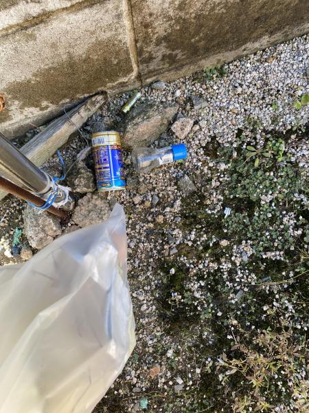 東郷湖、湖畔公園おそうじ画像