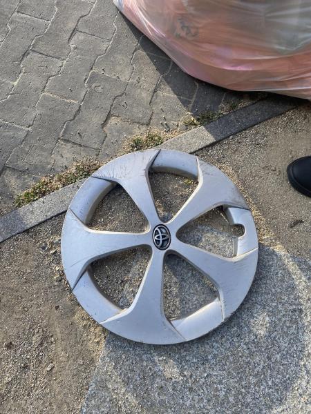 福岡天神　ハロウィンアフターそうじ⭐︎天クリ画像