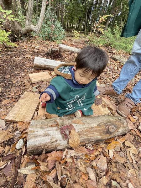 収穫音楽祭でgreen bird画像