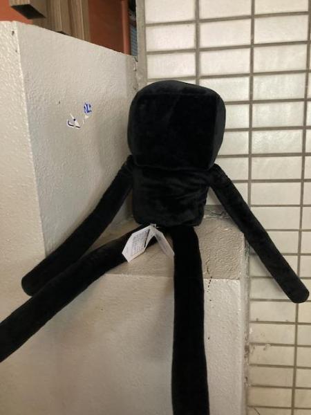 ゴミが多かった！夜そうじ画像