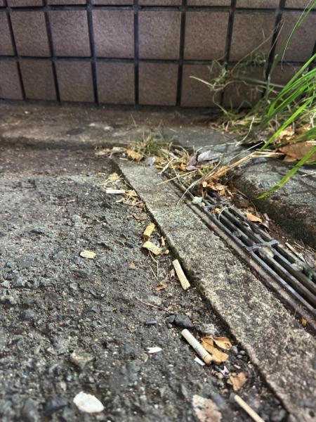 ゴミが多かった！夜そうじ画像